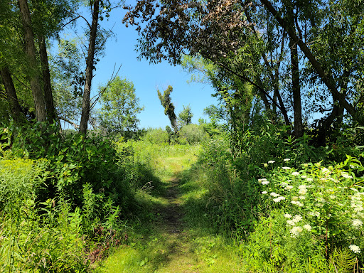 Indiana Dunes National Park Great Marsh Trail - Thumbnail