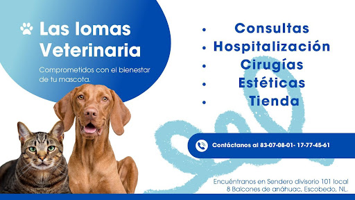 Las lomas veterinaria