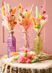 Photo n°1 de Pimp My Com' à Le Touquet-Paris-Plage (Agence de marketing)