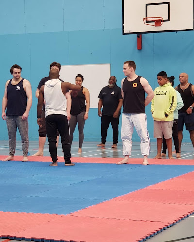 Dragon Fitness (Personal Training and Martial Arts) - London