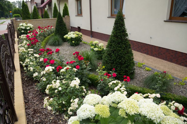 Opinii despre Ogrody Różane în Kalisz - Ogrodnik