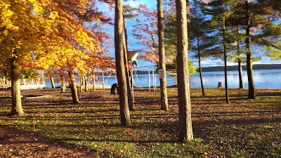 Photos of Timber Surf Camping Resort