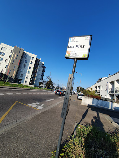Les Pins (av Magudas) - Thumbnail