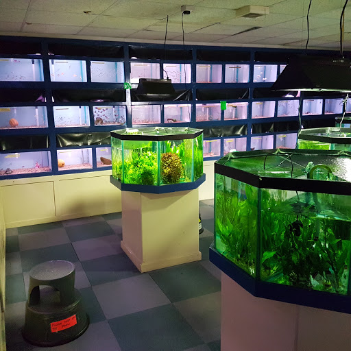 Sedgley Road Aquarium