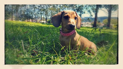 Photos of El Bosque Park