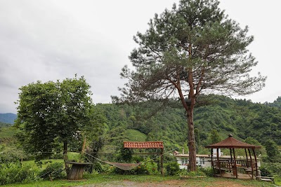 lodging