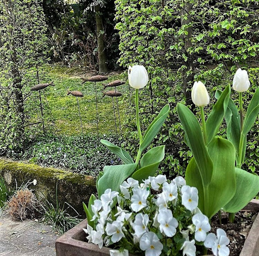 Terranera - Terranera i Giardini - Thumbnail
