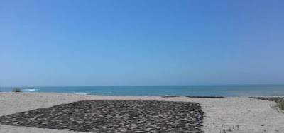 Photos of plage sidi yaaqoub