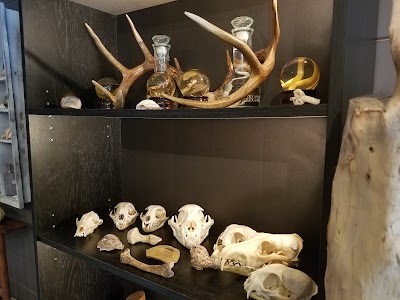 Photos of 'alkəmē