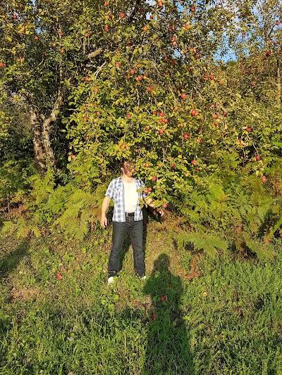 Photos of G&ouml;kkușağı Sitesi