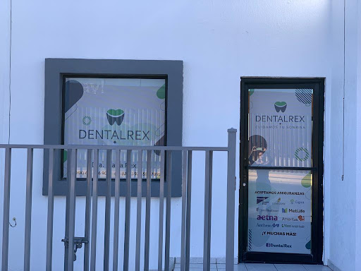 Dental Rex - Visual