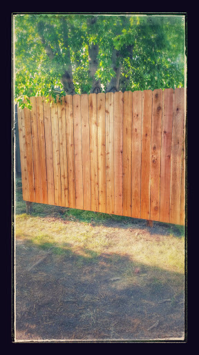 Mr. Ray's Professional Services, LLC