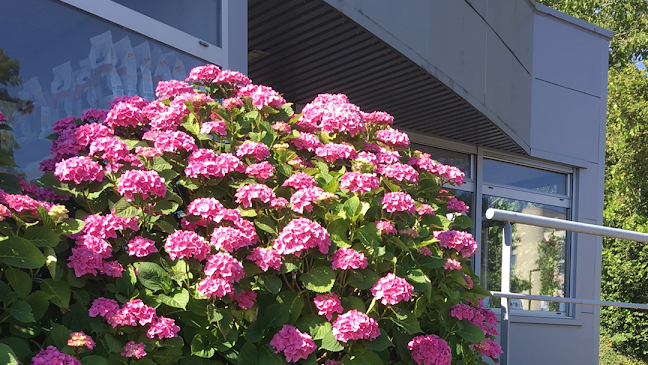 Clinique vétérinaire des Tilleroyes