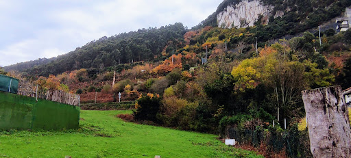 Islares - Visual