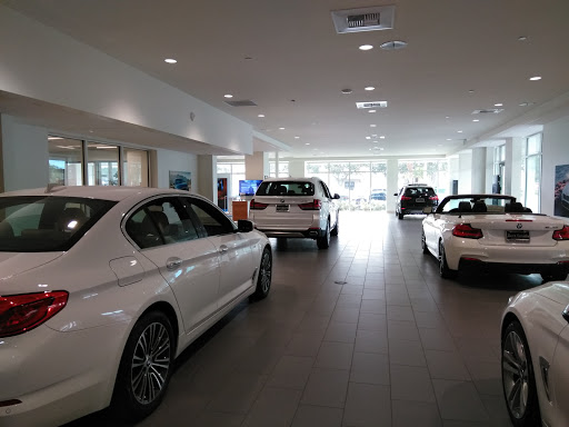 Bert Smith BMW - Visual