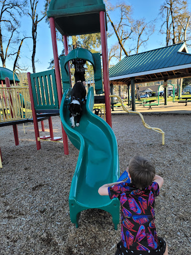 Coiner Park - Visual