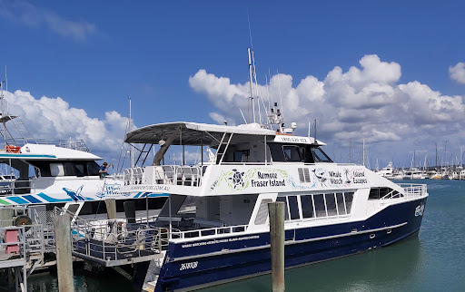 Tasman Venture - Thumbnail