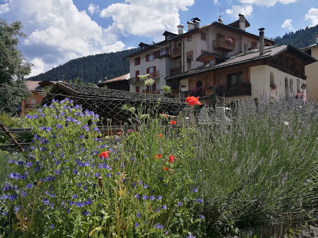 Ristorante Antica Osteria B & B Locanda dei Gentili