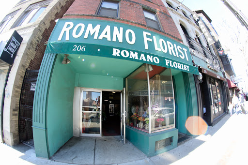 Romano Florist - Thumbnail