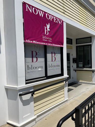Bloom Aesthetics + Wellness