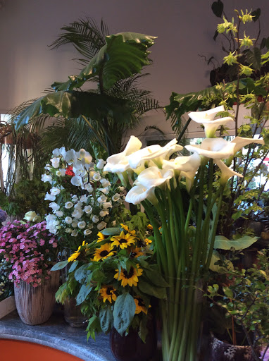 blumen fiori - Thumbnail