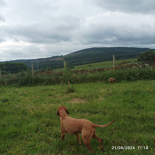 Inca's Trail Secure Dog Park - Thumbnail