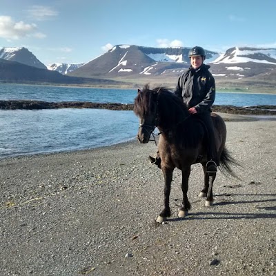 Photos of Simba Horses: riding tours in the Westfjords Alps