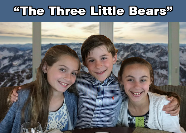 Bearicuda Bins photo 1