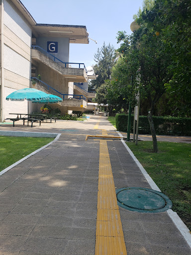 University Centre Of Economic And Administrative Sciences Gallery - Mexico
