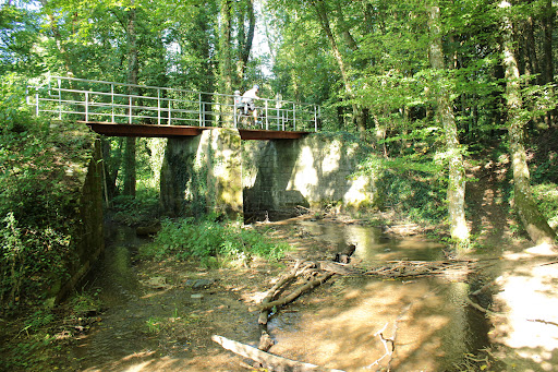 Sentier de la découverte ( Grotte du Hohlenstein ) - Thumbnail