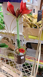 Photo n°10 de le panier noaillerot à Noailly (Épicerie)