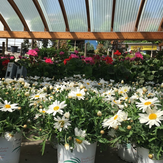 Casla Gardening