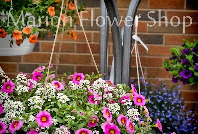 Photos of Marion Flower Shop