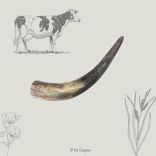 P'tit Lupus - Thumbnail