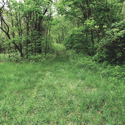 Hopewell Indian Mounds - Thumbnail