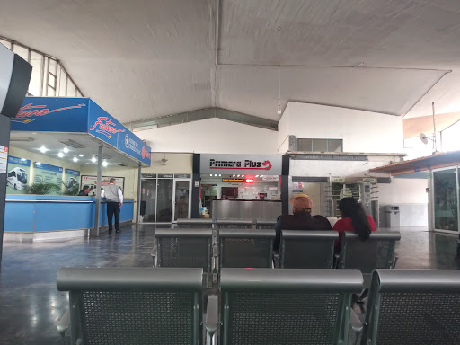 Autobuses Flecha Amarilla