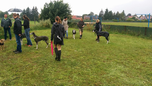 Windhund-Rennbahn Berlin Gallery - Germany