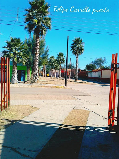 Biblioteca fundadores de ejido