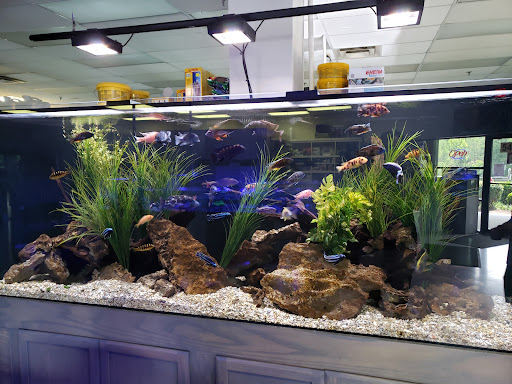 Nova Tropicals - Thumbnail