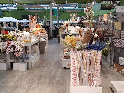 toom Baumarkt Krumbach - Thumbnail