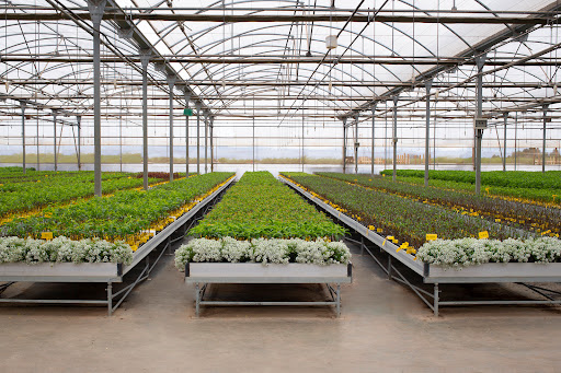 Viveros Hernandorena - Foto 1