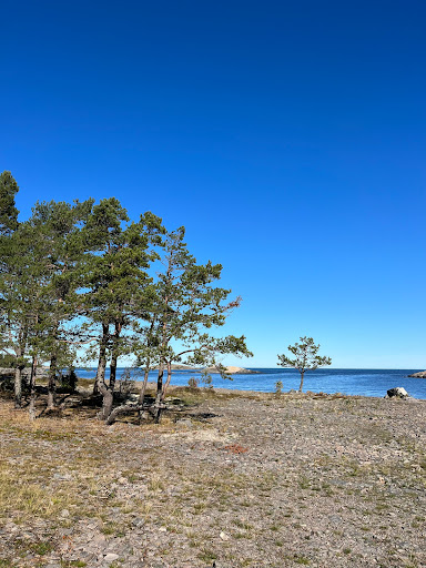 Arsläjans naturreservat - Thumbnail