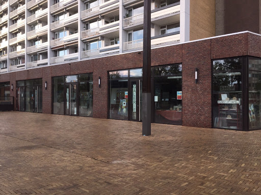 site_photo4