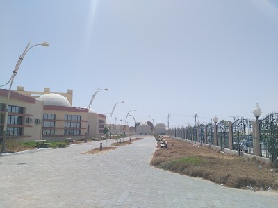 Photos of محطة النقل البري -الوادي( مسار الواد البياضة الرباح النخلة )