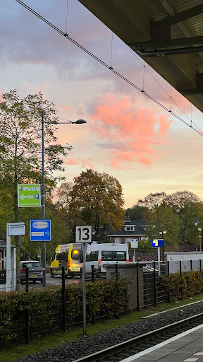 Bilthoven - Thumbnail