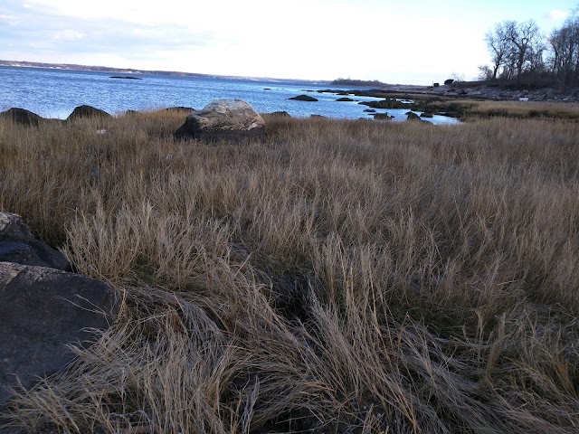 Orchard Beach