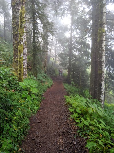 Saddle Mountain State Natural Area