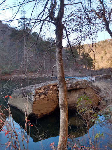 Lower Two Mile Beach - Thumbnail