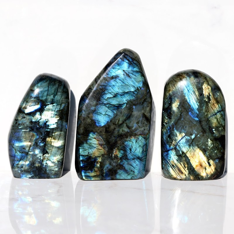 The Mystic Wolf photo 2