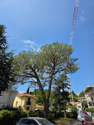 Photo n°9 de LES JARDINS DE GAÏA à Châteauneuf-Villevieille (Service d'élagage)